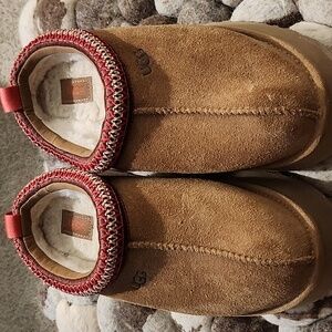Uggs tasman